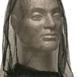 Sea To Summit Mosquito Head Net