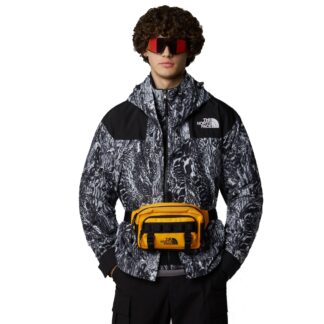 The North Face Base Camp Lumbar