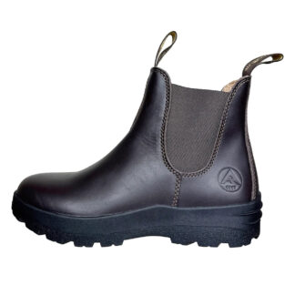 Avignon Darwin Jodhpurs läder