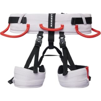 Mammut Ophir Kids 2.0 Harness Alpine Calamint/Mammut Red Alpine Calamint/Mammut Red