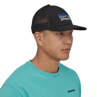 Patagonia P-6 Logo LoPro Trucker Hat