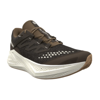 Salomon Men's Aero Glide 3 GRVL skor för terränglöpning