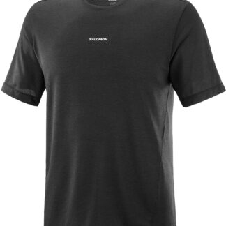 Salomon Men's Shakeout Core Tee t-shirt
