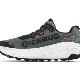 Icebug Arcus 2 Women's BUGrip GTX - Grey