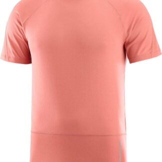 Salomon Men's Cross Run Tee