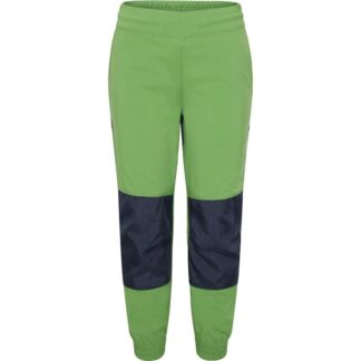 Didriksons Flox Kids Pant Algae Green - 140 cl