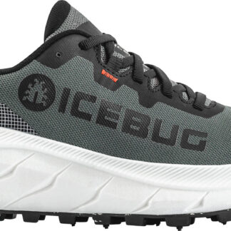 Icebug Arcus 2 BUGrip GTX W-Grå-USL 10 Dam Grå USL 10 | Löparskor