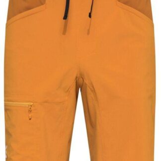 Haglöfs Men's ROC Lite Standard Shorts Men