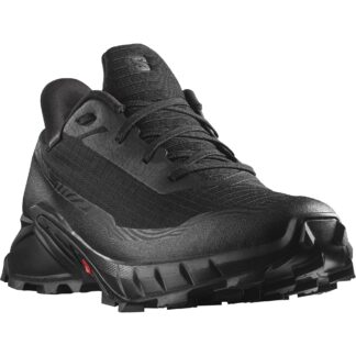 Salomon Men's Alphacross 5 GTX skor för terränglöpning